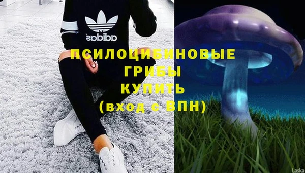 spice Горняк
