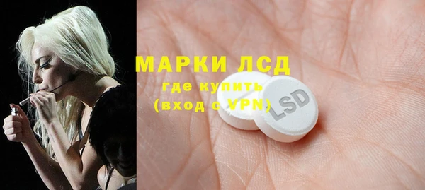 ГАЛЛЮЦИНОГЕННЫЕ ГРИБЫ Тутаев