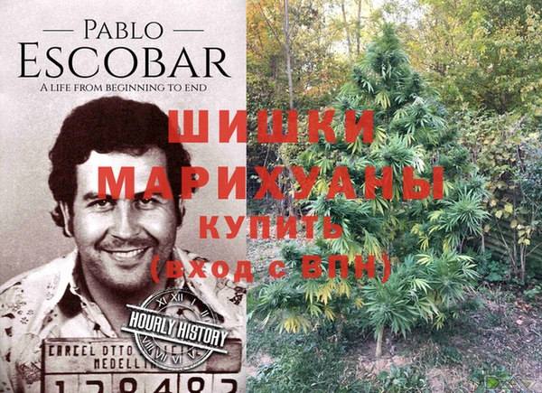 бутират Туринск